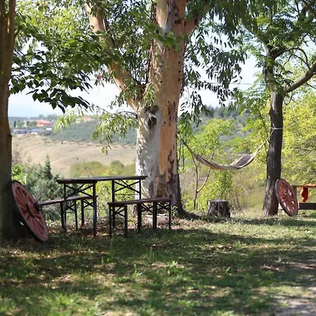 Manuel Villa
