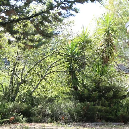 Manuel * Pianella (Pescara)