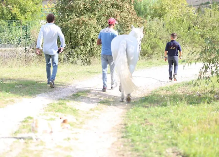 Manuel Pianella (Pescara)