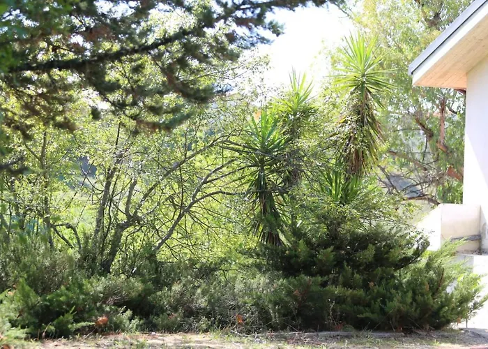 Manuel * Pianella (Pescara)